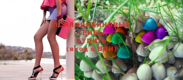 mix Инта