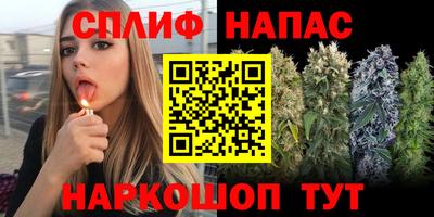 меф Кингисепп