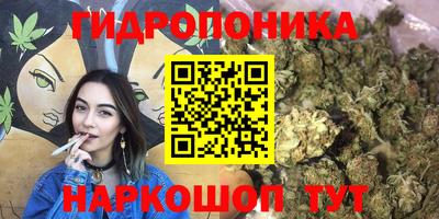 спайс Кимры