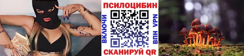 купить  цена  Соль-Илецк  Галлюциногенные грибы мицелий 
