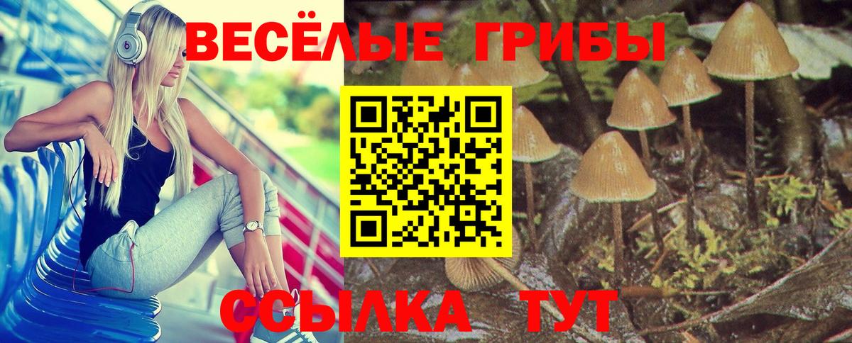 Соль-Илецк  Галлюциногенные грибы Magic Shrooms  Вход с VPN  Галлюциногенные грибы ЛСД 