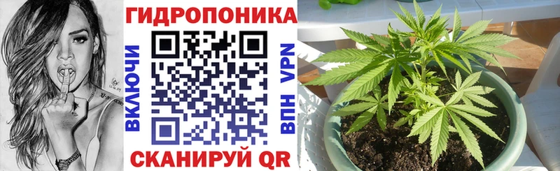 omg вход  Соль-Илецк  Марихуана гибрид 